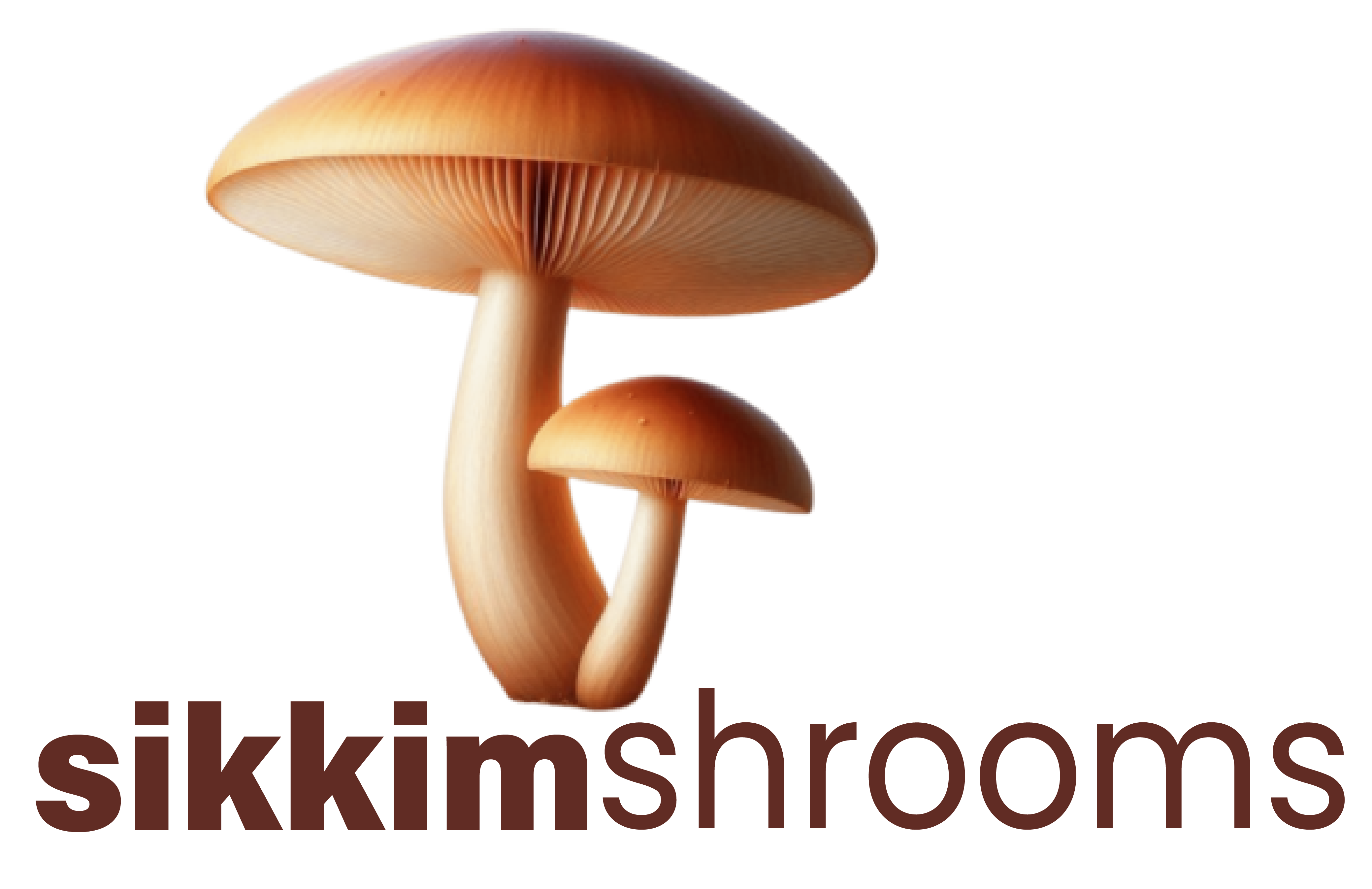 Sikkim Shrooms