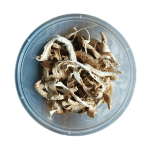 Dried Oyster Mushrooms