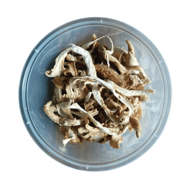 Dried Oyster Mushrooms