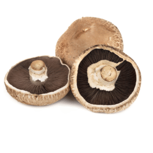 Fresh Portobello Mushrooms